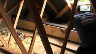 Single Velux Loft Conversion [upl. by Frye]