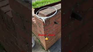 Block paving sealer satisfying diy pressurewashing smart seal [upl. by Bradman599]