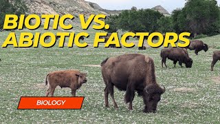 Biotic vs Abiotic Factors [upl. by Lamphere885]