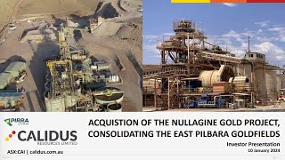 Calidus Resources ASX CAI  Investor Webinar [upl. by Regnig]