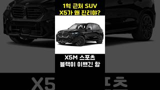 BMW X5가 왜 진리야 [upl. by Aneehsyt]