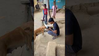 Pille ki Maa 🦮  232 minivlog dailyvlog vlog maa doglover dogshorts doglife pille shorts [upl. by Romeu455]