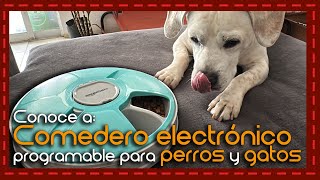 Conoce a Comedero eléctrico programable para perros y gatos [upl. by Erdnaek23]