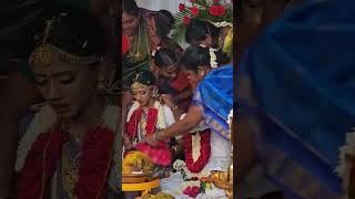 🦋True love 🥺wedding emotional couplegoals trending shortvideo [upl. by Alidis]