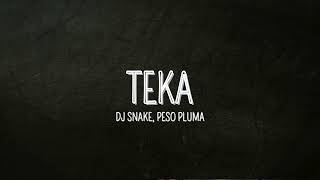 DJ Snake Peso Pluma  Teka [upl. by Laerdna]