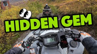 Exploring Alaskas Hidden Gem ATV Trails Hatcher Pass AK [upl. by Naesyar]