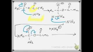 Synthesis of Acetamide from Acetic Anhydride RXN Mechanism [upl. by Ahsiyt]