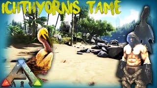 ARK THE ISLAND  ICHTHYORNIS TAME AND REVIEW OFFICIAL SERVER GAMEPLAY [upl. by Kristian775]