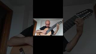 Part 1 Prelude BWV 999 by Bach for 10 String Guitar [upl. by Alyakcm]