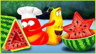 Larva Tuba 20224 Food Shaping  Cartoon Movies Top 50 Episode Mini Series From Animation Larva [upl. by Levinson596]