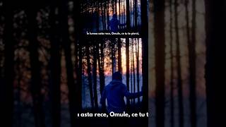 În Lumea asta ReceOmule ce Tu te Pierzi shorts muzicăcreștină music isus song pocainta [upl. by Leamaj649]