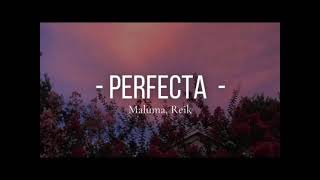 Reik Maluma  Perfecta [upl. by Diba]