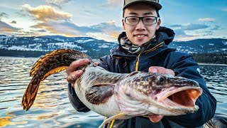 Burbot Catch Clean Cook  Full Day of Walleye amp Burbot Action [upl. by Nrehtac]