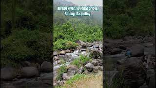 Riyang River Jogighat bridge Sittong Darjeeling jogighat sittong darjeeling naturelovers [upl. by Aknahs610]