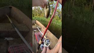 POND HOPPING IN A CANOE FARM POND FISHING LARGEMOUTH BASS FISHINGfishingshortsytshortsfypyt [upl. by Trebla]