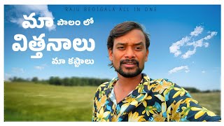 RAJU BEDIGALA మా పొలం లో విత్తనాలు మా కష్టాలు  seeds arvesting  RAJU BEDIGALA ALL IN ONE [upl. by Carlyle484]