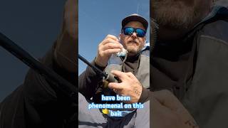 Eelgrass Technique for Spotted Bay Bass [upl. by Kristie]