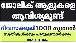 2024 Kerala Job vacancylatest job vacancy in keralakerala job vacancy todayjob vacancy 2024 job [upl. by Gredel]