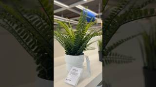 Artificial Plant Collections at IKEA Bengaluru shorts IKEA homedecor [upl. by Merlina904]