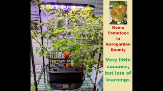 Roma Tomatoes growing in Aerogarden Bounty  Hydroponics [upl. by Euqirrne]