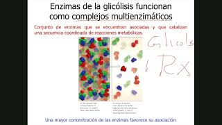 10Glicólisis y Fermentaciones [upl. by Harim]