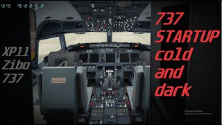 Boeing 737 FULL STARTUP from Cold and Dark to Ready for Taxiing XPlane 11 Zibo 737 [upl. by Havens]