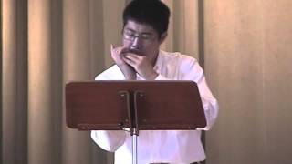 Concerto for Harmonica 1st mov Spivakovsky [upl. by Silrac892]