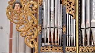 The organ from Rupea  17th Century anonymous [upl. by Atauqal]