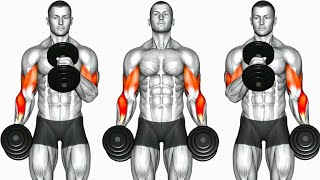 Biceps Workout 6 Best Exercises to build Strong Bicep [upl. by Ellainad]