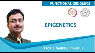 Epigenetics [upl. by Enak]