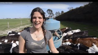 Farming in New Zealand [upl. by Shel]