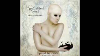 The beautified project Stupid love song A Saakyan HQ Sound [upl. by Corilla]