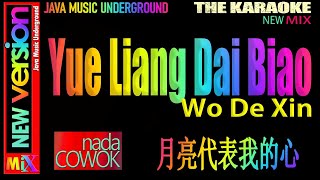 YUE LIANG DAI BIAO karaoke SLOW MIX NADA PRIA javamusicunderground [upl. by Ester497]