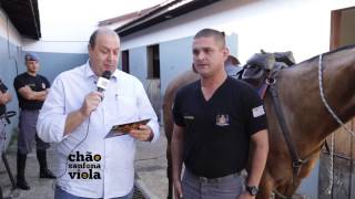 1º Batalhão de Ações Especiais de Policia  BAEP  Cavalaria  13 [upl. by Alejandra]