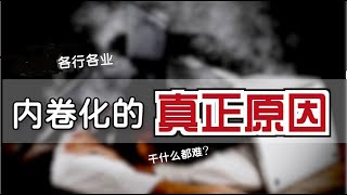 这些年的“突然内卷化”【Eng Sub】What caused Chinas InvolutionNeijuanhua Rich Poor Gap [upl. by Elbert]