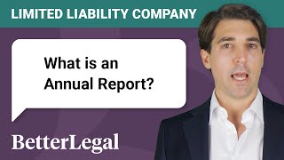 What is Annual Report for a Limited Liability Company [upl. by Lydell]