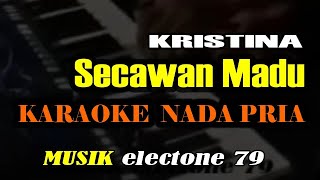 SECAWAN MADU  KARAOKE DANG DUT  NADA PRIA [upl. by Leirua]