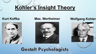 Insight theory of learning by kohler  Insight theory of learning by gestalt  Gestalt theory  Bed [upl. by Lopez]