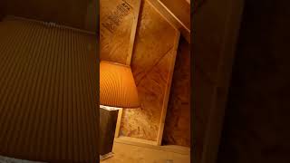 Crawl Space Cleared  Skeeters New Room [upl. by Faxon]