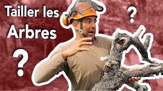 Élagage des Arbres   1 Les différents types de Taille [upl. by Lezlie235]