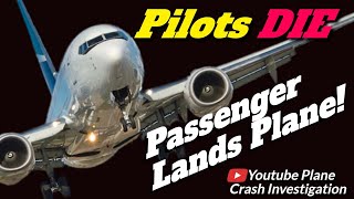 Pilot Dies During Flight PASSENGER lands [upl. by Hedvig]