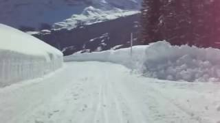 Schlitteln in Grindelwald Bussalp SnowRunCrash [upl. by Nnylecyoj]