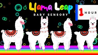 Llama Leap 1 Hour Sensory Colorful Cartoon with Bubbly Beats  Sensory Videos For 03 month Babies [upl. by Gona]