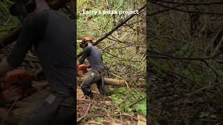 trailbuilding trails outdoors woodworking arborist dirt dtft camping [upl. by Kurzawa]