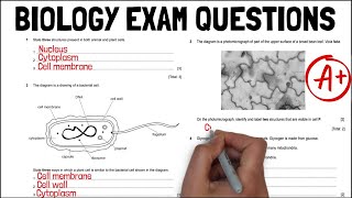 Biology PAST PAPER EXAM QUESTIONS Unit 1 Revision  A Grade  KS4 Science  IGCSE Biology [upl. by Durrett]