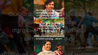 Neele nilave song lyrics [upl. by Neda]