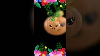 High contrast Baby Sensory Video For Toddlers  Hey Baby Bear Fruit Dance Video [upl. by Esilenna]