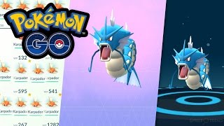 Karpador → Garados Entwicklung  Lets Play Pokémon GO Deutsch 030 [upl. by Damien]