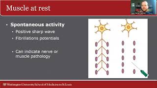 Basics of Electrodiagnostic Testing – Nate Olafsen MD [upl. by Iruy]