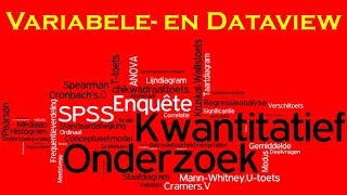 Kwantitatief Onderzoek 06 SPSS  Variabele en Dataview [upl. by Thad]